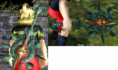 /album/galeria-de-fotos/varinha-png/